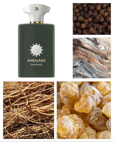 عطر آمواج پرپچوال پیس پرپیس 100 میل Amouage Purpose